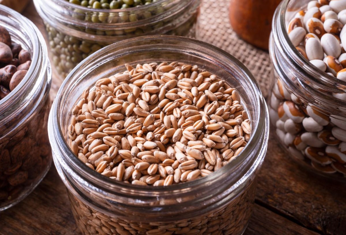 Health Benefits of Wheat BerriesActionable Wellness