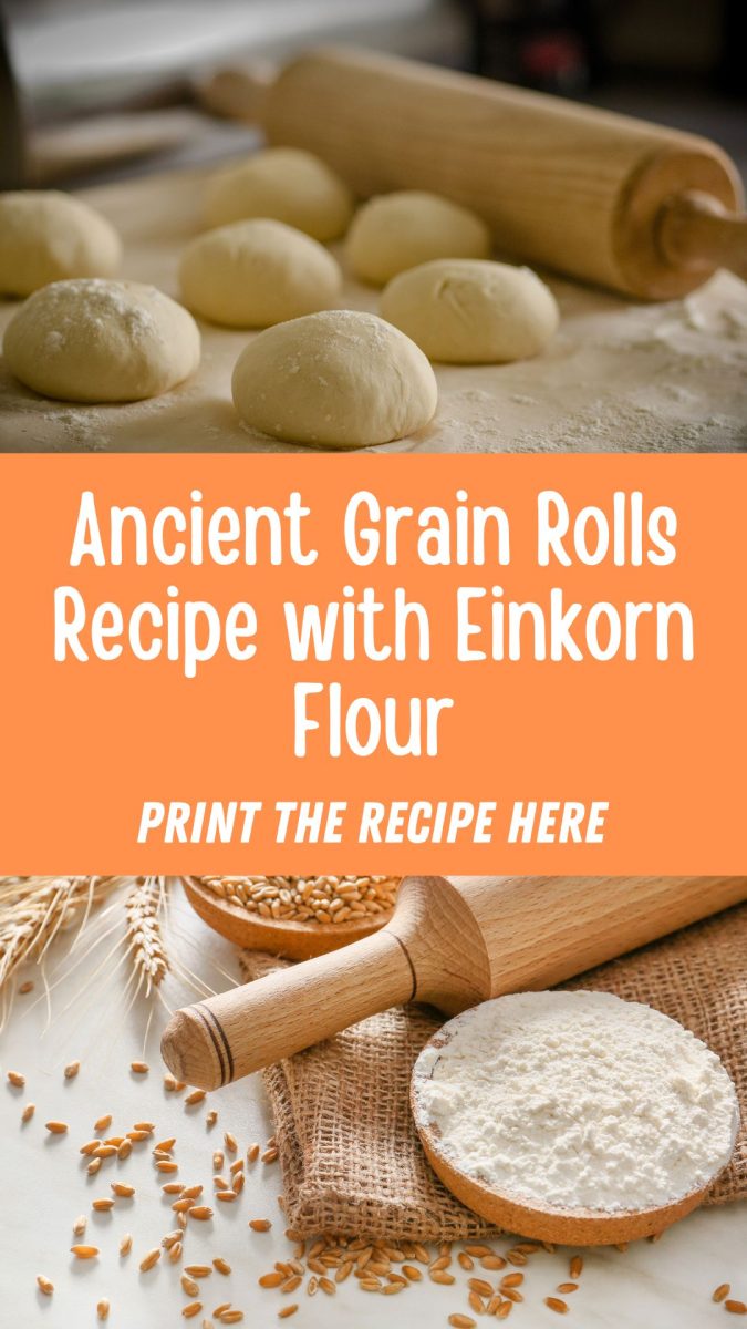 Dough balls and a rolling pin sit above; einkorn flour, grains, and another rolling pin rest below. Text overlay reads "Ancient Grain Rolls Recipe with Einkorn Flour," beckoning you to print the recipe here for these delectable ancient grain rolls.